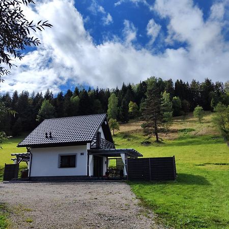 Lesny Zaulek Villa Muszyna Buitenkant foto