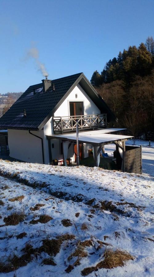 Lesny Zaulek Villa Muszyna Buitenkant foto