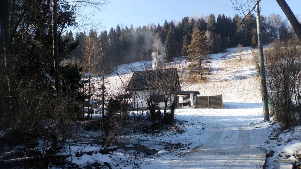 Lesny Zaulek Villa Muszyna Buitenkant foto