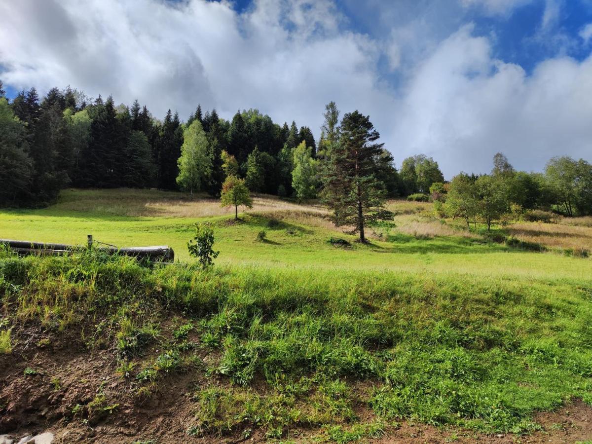 Lesny Zaulek Villa Muszyna Buitenkant foto