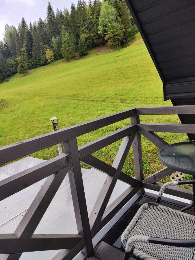 Lesny Zaulek Villa Muszyna Buitenkant foto